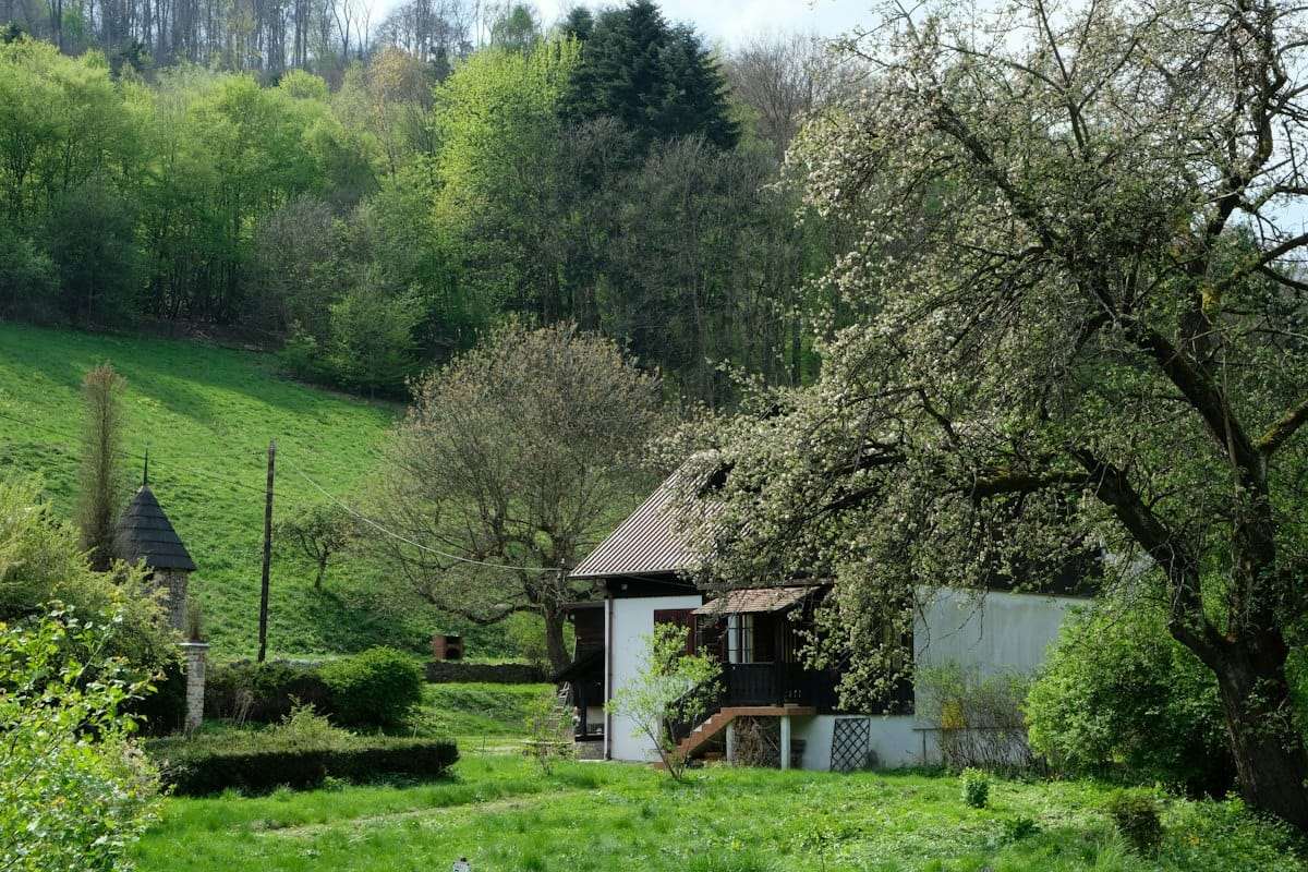 Village house among blossoming fruit trees in Ojców, southern Poland