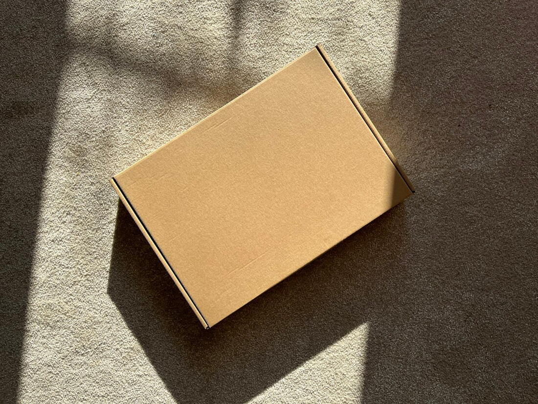 Plain cardboard delivery box in afternoon sunlight