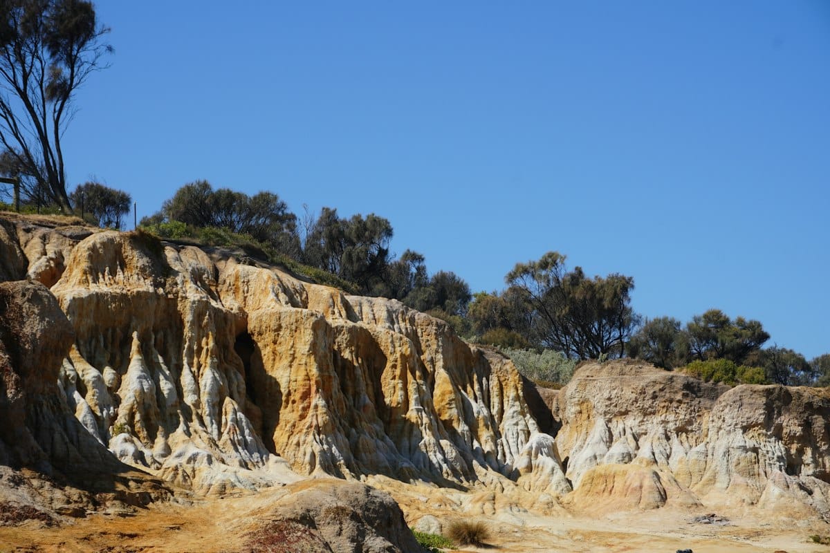 Sandstone sea cliffs at Sandringham Beach on Melbourne’s bayside