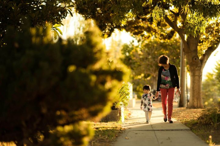 Walking hand in hand Woman and young child walking hand in hand along a sunlit, tree-lined path